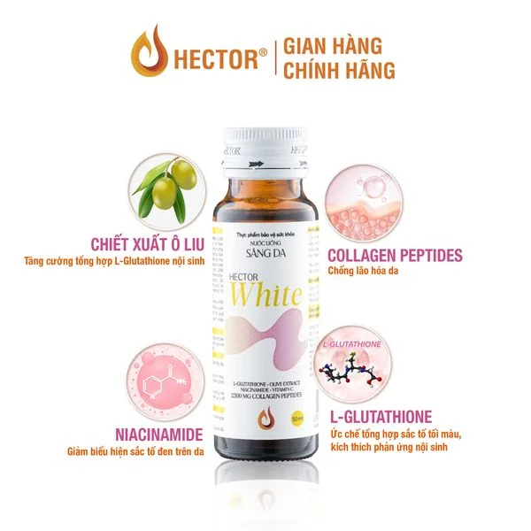 NƯỚC ĐÔNG TRÙNG HẠ THẢO HECTOR WHITE - HỘP ( 10 CHAI)